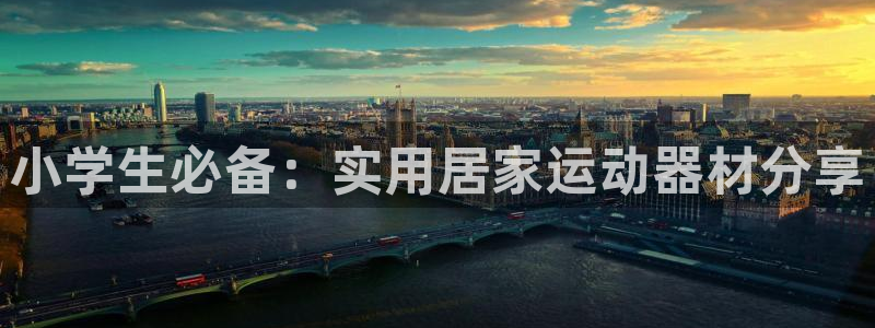 fb体育开户：小学生必备：实用居家运动器材分享