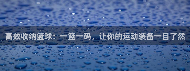 fb体育招商电话号码是多少号：高效收纳篮球：一篮一码，让你的