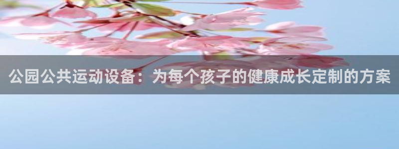 fb体育软件：公园公共运动设备：为每个孩子的健康成长定制的方