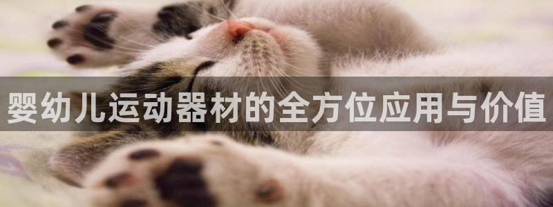 fb体育娱乐：婴幼儿运动器材的全方位应用与价值