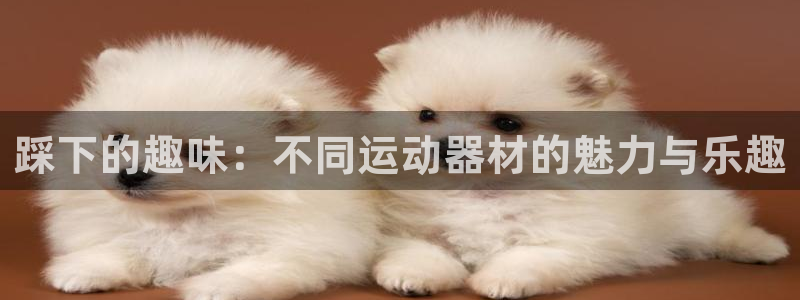 fb体育平台注册要钱吗安全吗：踩下的趣味：不同运动器材的魅力