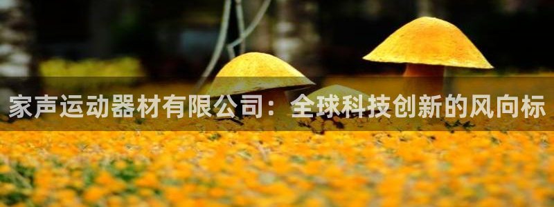 fb体育娱乐40996：家声运动器材有限公司：全球科技创新的