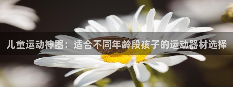 fb体育新能源：儿童运动神器：适合不同年龄段孩子的运