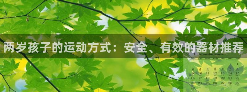 fb体育是干嘛的公司