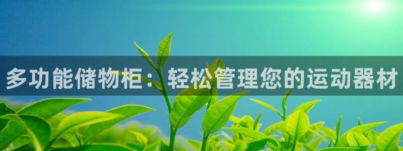 fb体育平台注册要钱吗是真的吗：多功能储物柜：轻松管