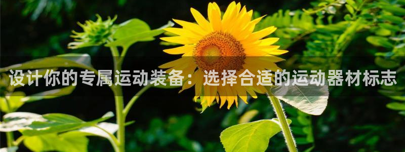 fb体育平台假的吗是真的吗吗：设计你的专属运动装备：