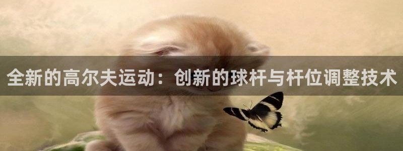 fb体育娱乐网站：全新的高尔夫运动：创新的球杆与杆位