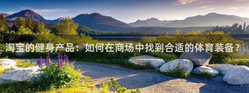 fb体育集团E.ON：淘宝的健身产品：如何在商场中找