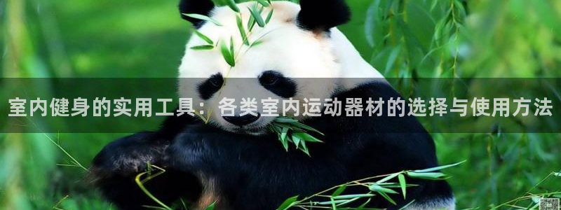 fb体育平台注册流程图：室内健身的实用工具：各类室内