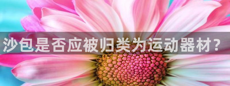 fb体育平台注册流程图：沙包是否应被归类为运动器材？