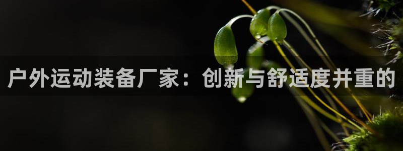 fb体育集团官网首页：户外运动装备厂家：创新与舒适度