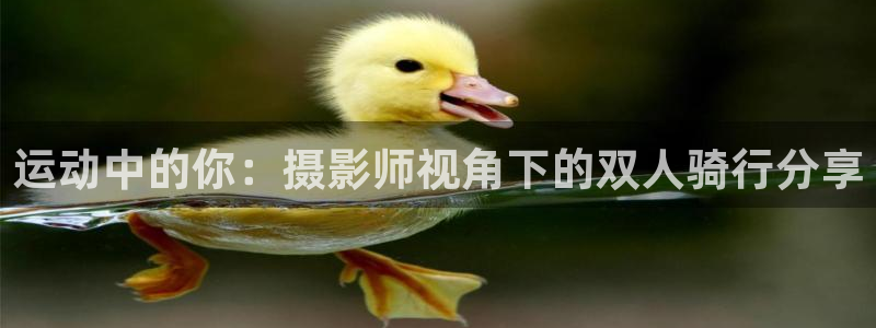 fb体育招商电话号码是多少啊：运动中的你：摄影师视角下的双人