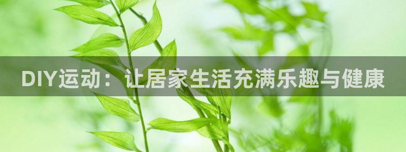 fb体育集团官网首页网址:DIY运动:让居家生活充满乐趣与健
