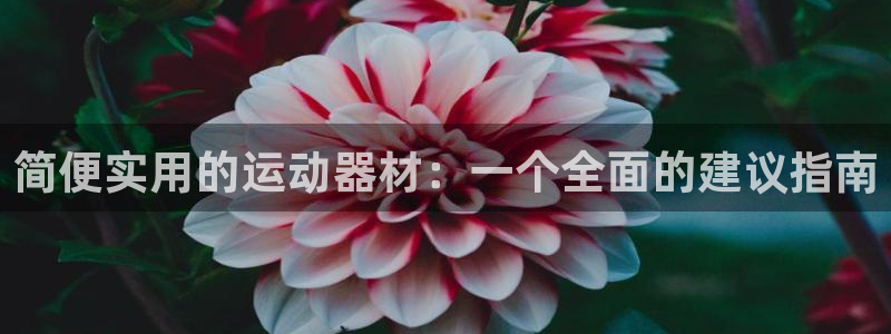 fb体育招商电话号码是多少：简便实用的运动器材：一个全面的建