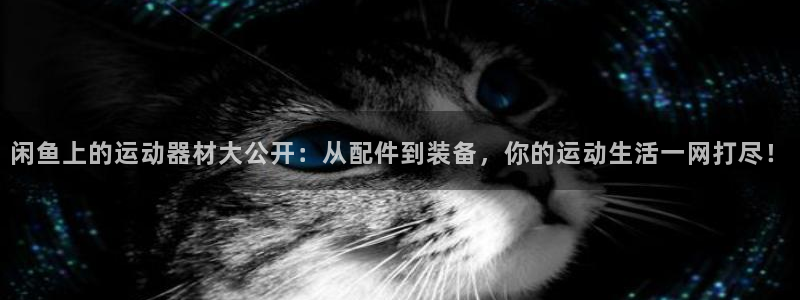 fb体育平台注册流程视频