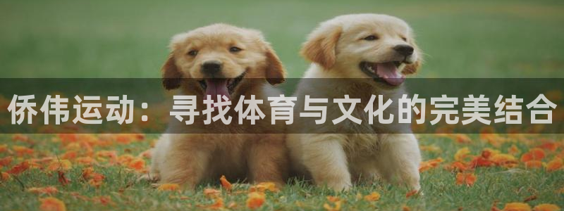 fb体育集团官网首页网址：侨伟运动：寻找体育与文化的完美结合